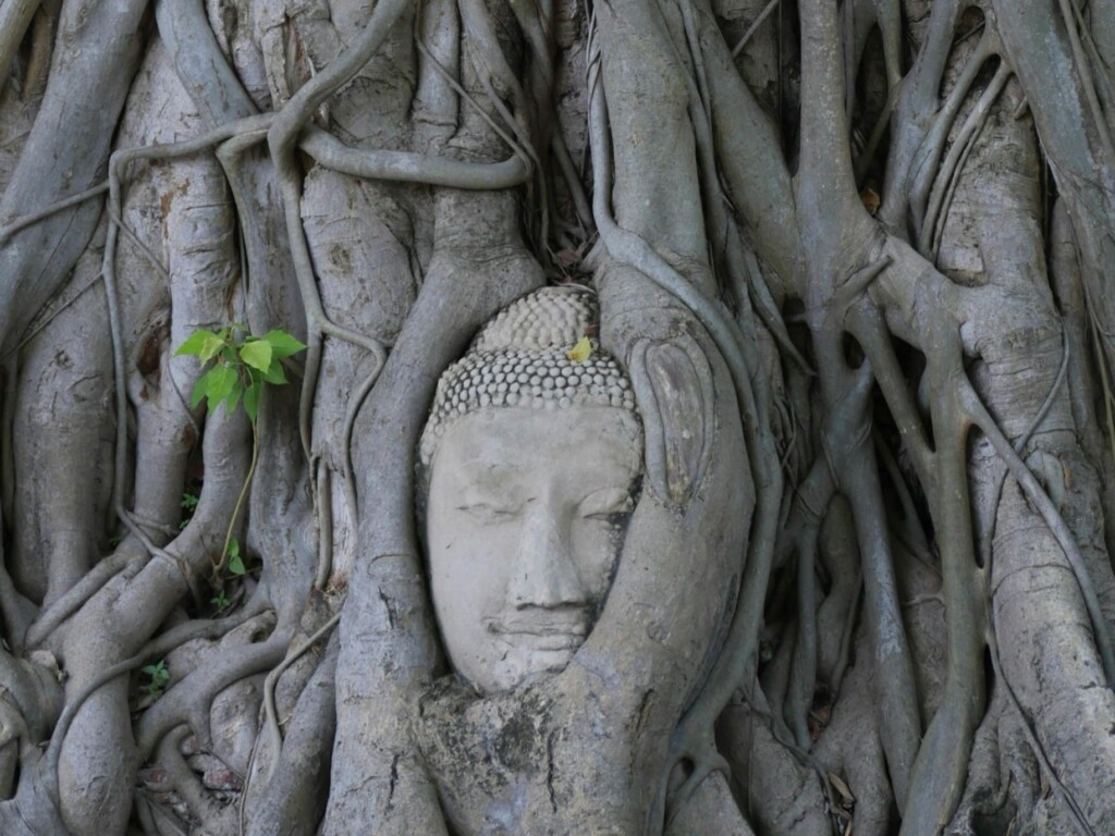 Combinatiereis Vietnam & Laos