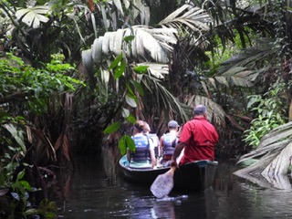 Kanotour Tortuguero