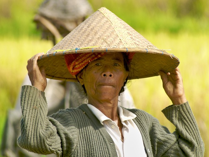 Indonesië Ultiem