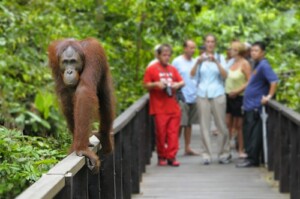 Maleisie-Borneo-dag-09