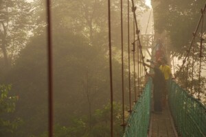 Maleisie-Borneo-dag-12