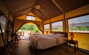 cardamom tent camp